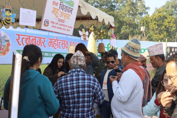 चितवनमा ‘दोस्रो मह उत्सव’ सुरु, निःशुल्क मह चाख्न पाईने